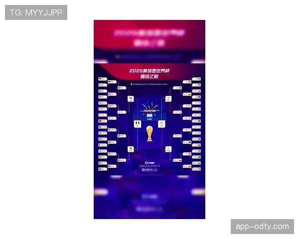 2026世界杯规则下席位怎么排